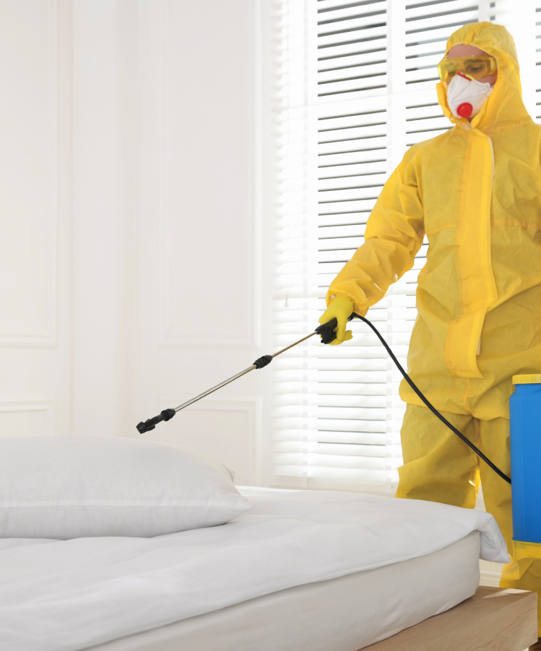 Professional Pest Control Team in Vale Park